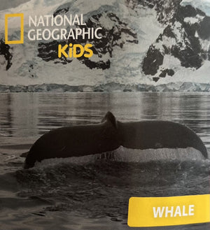 National Geographic Whale