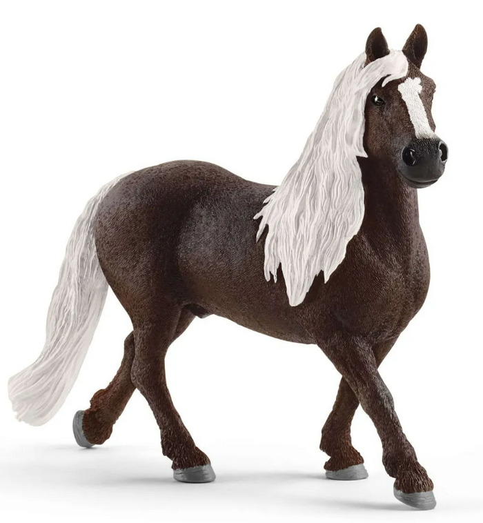 Black Forest Stallion