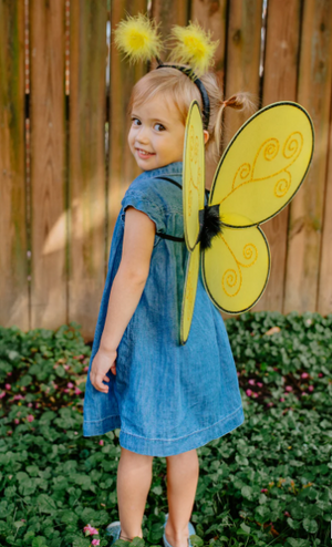 Bumble Bee Wings & Headband
