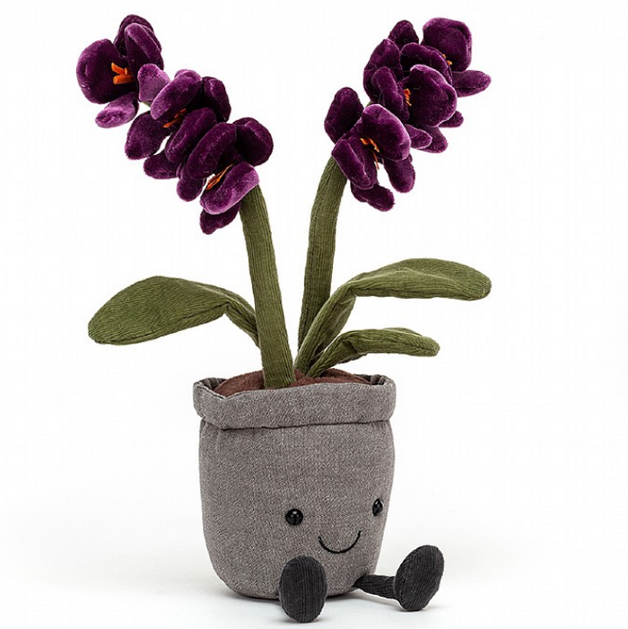 Purple Orchid Amuseable