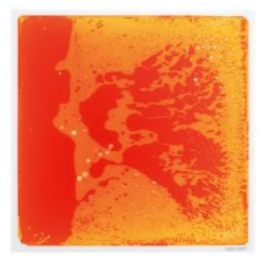 Red- Surf Floor Liquid Tile
