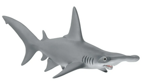Hammerhead Shark