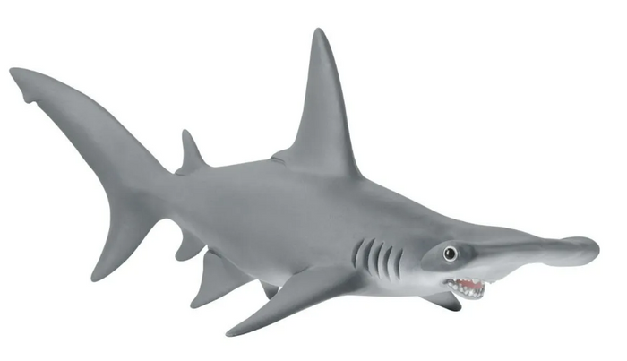 Hammerhead Shark