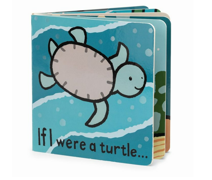 If I were a Turtle Book
