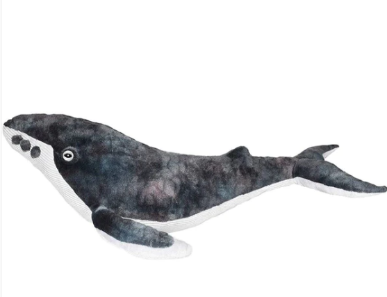 CK Humpback Whale