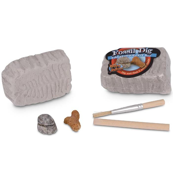 Fossil Dig