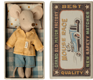 Big Brother Mouse in Matchbox